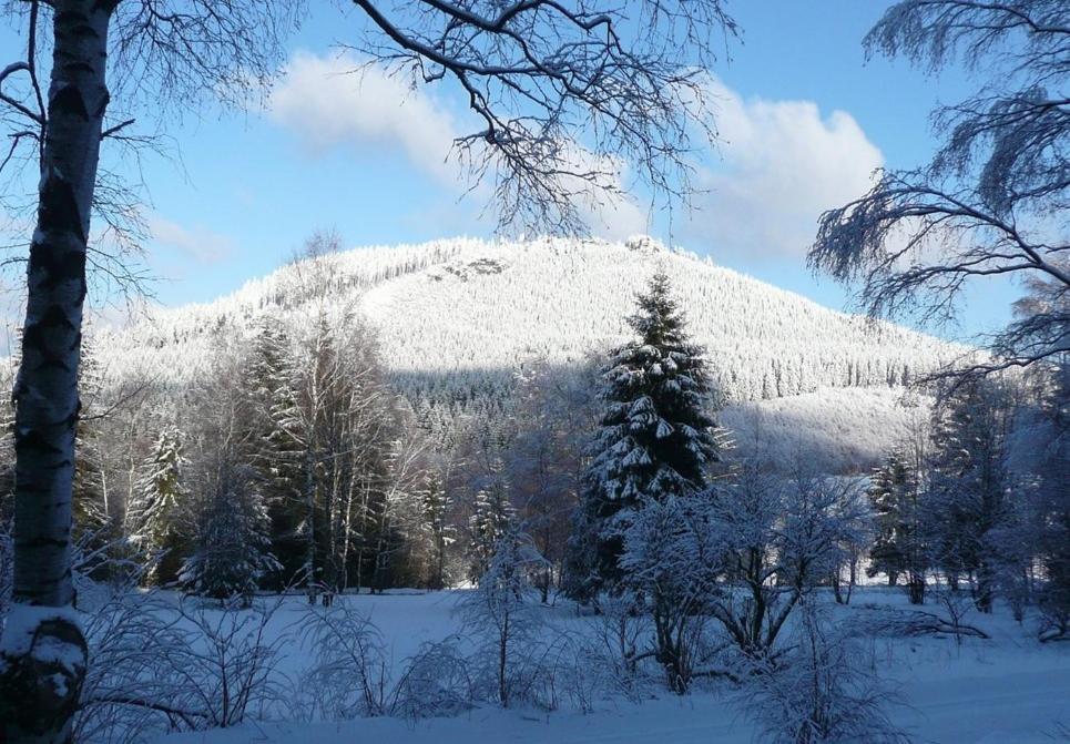 Ferienwohnung Rennsteigblick Viernau ภายนอก รูปภาพ